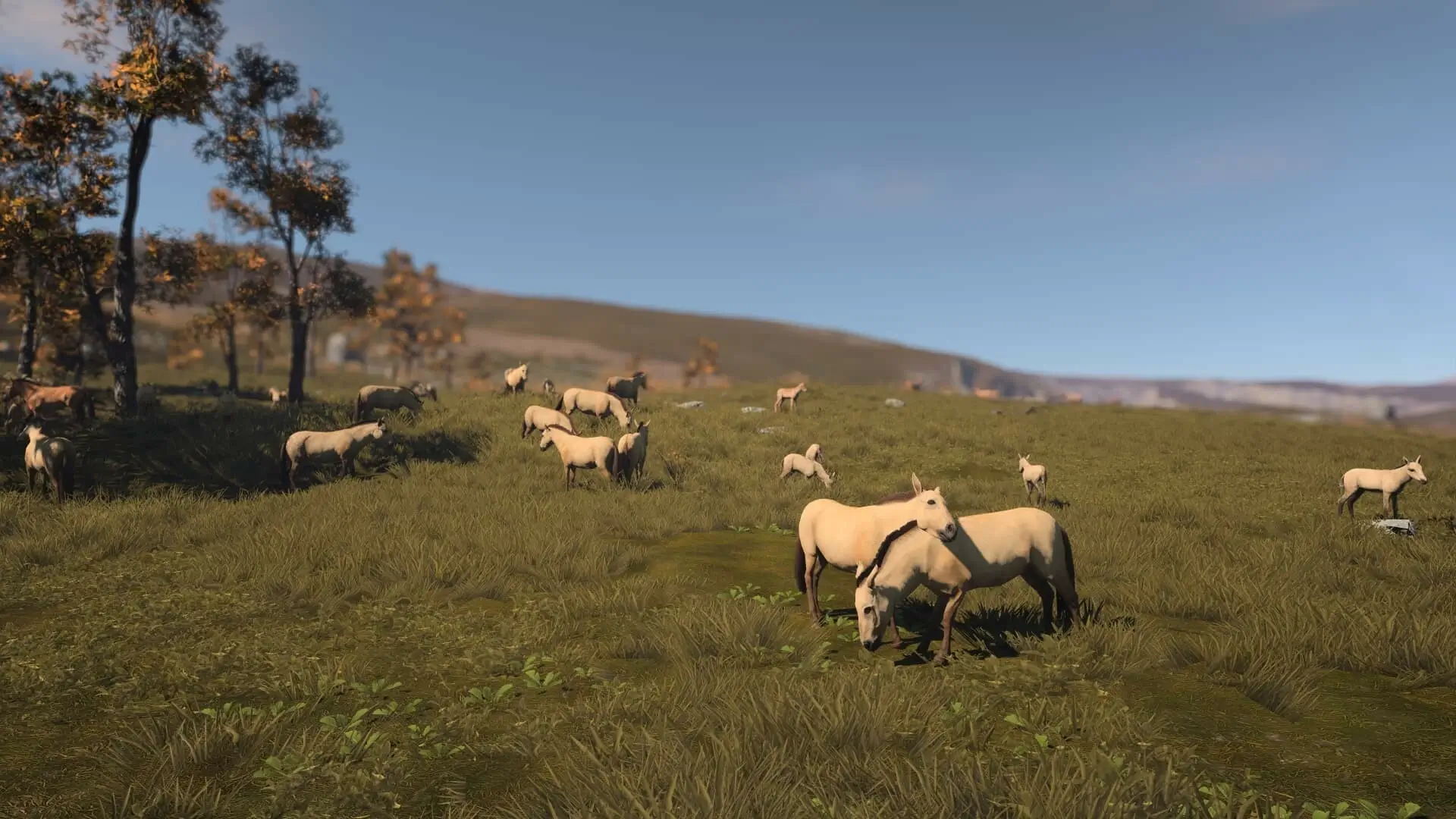 Ancient Cities Gameplay Screenshots 3