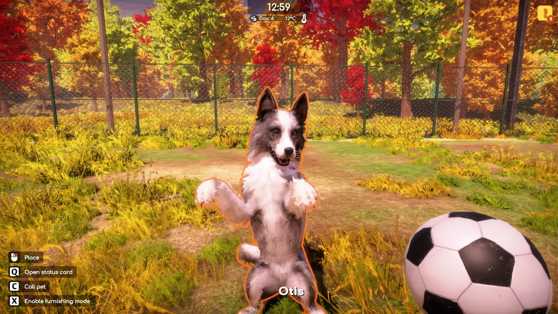 Animal Shelter 2 Gameplay Screenshots 3