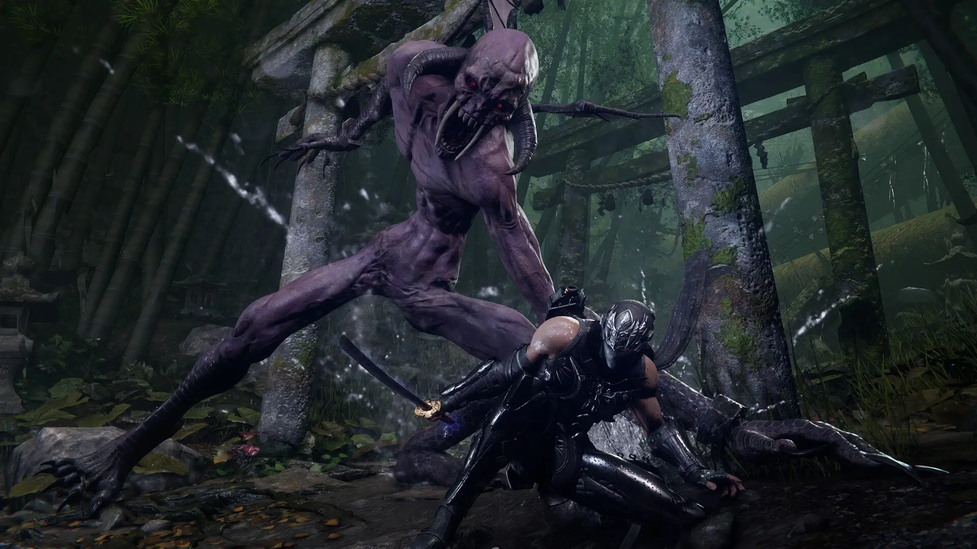 NINJA GAIDEN 4: Deluxe Edition Gameplay Screenshots 3