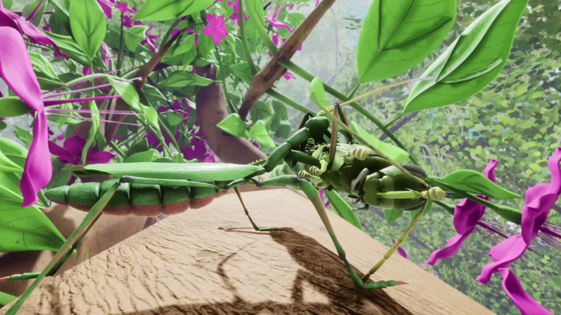Nature & Life: Drunk On Nectar – Complete Bundle Gameplay Screenshots 2