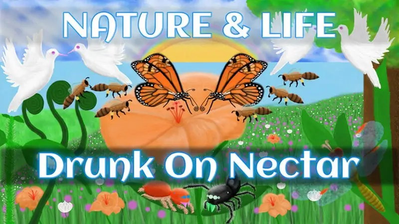 Nature & Life: Drunk On Nectar – Complete Bundle Torrent Download