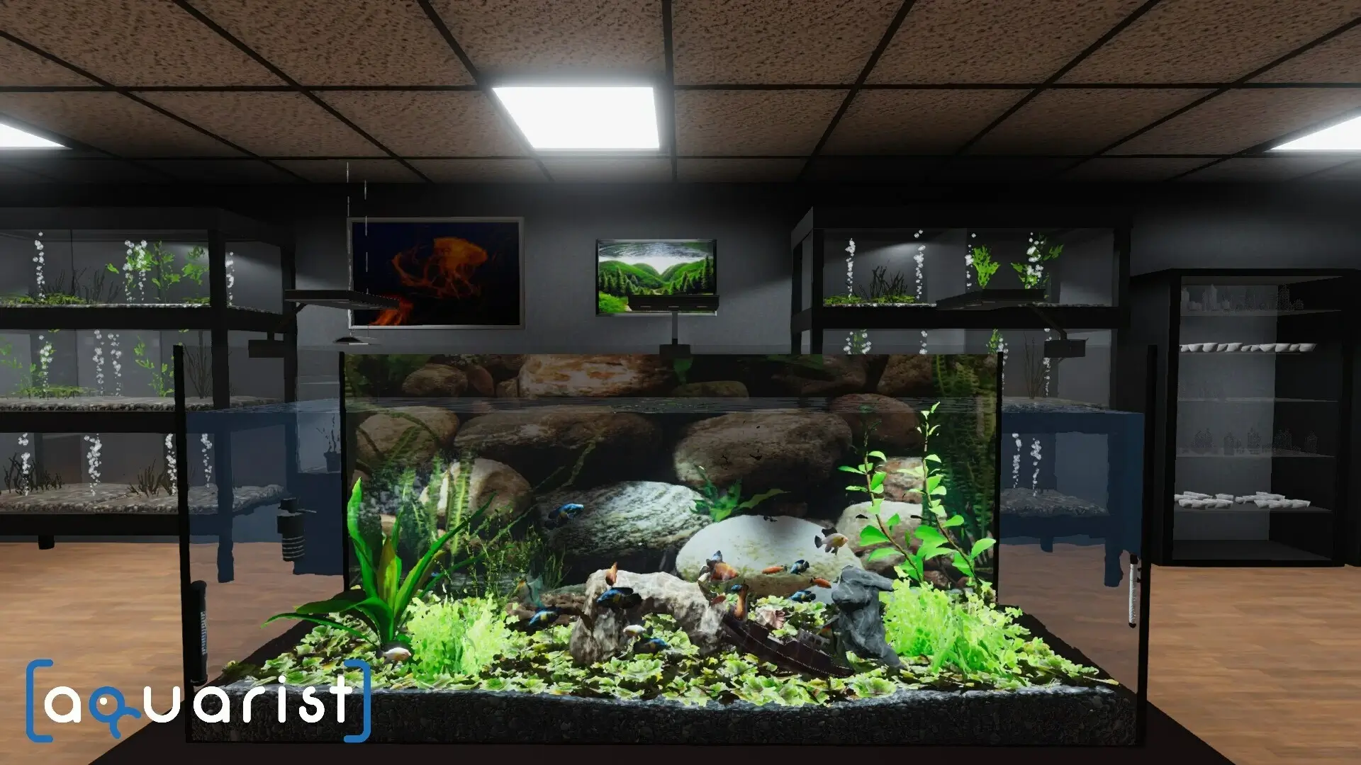 Aquarist: Full Experience Bundle Gameplay Screenshots 1