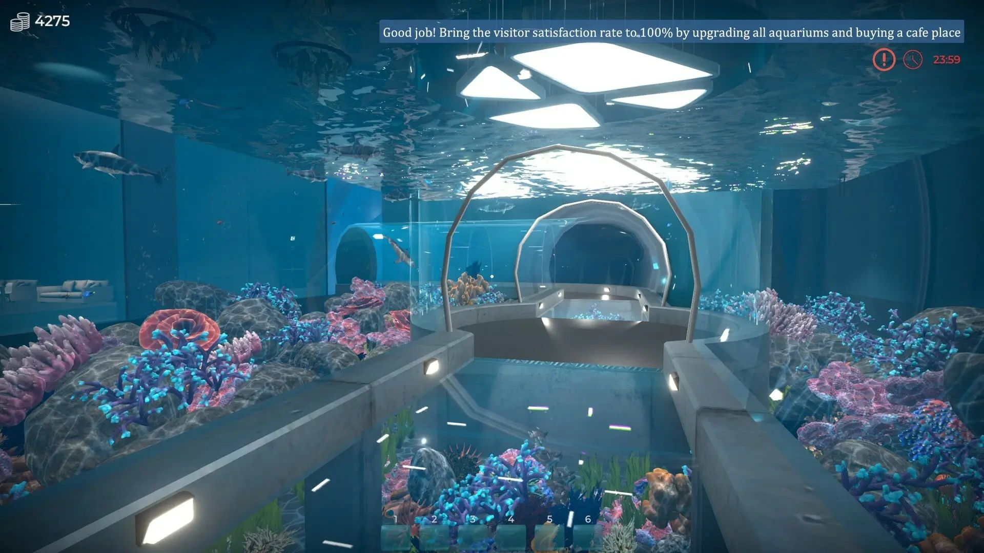 Aquarist: Full Experience Bundle Gameplay Screenshots 2