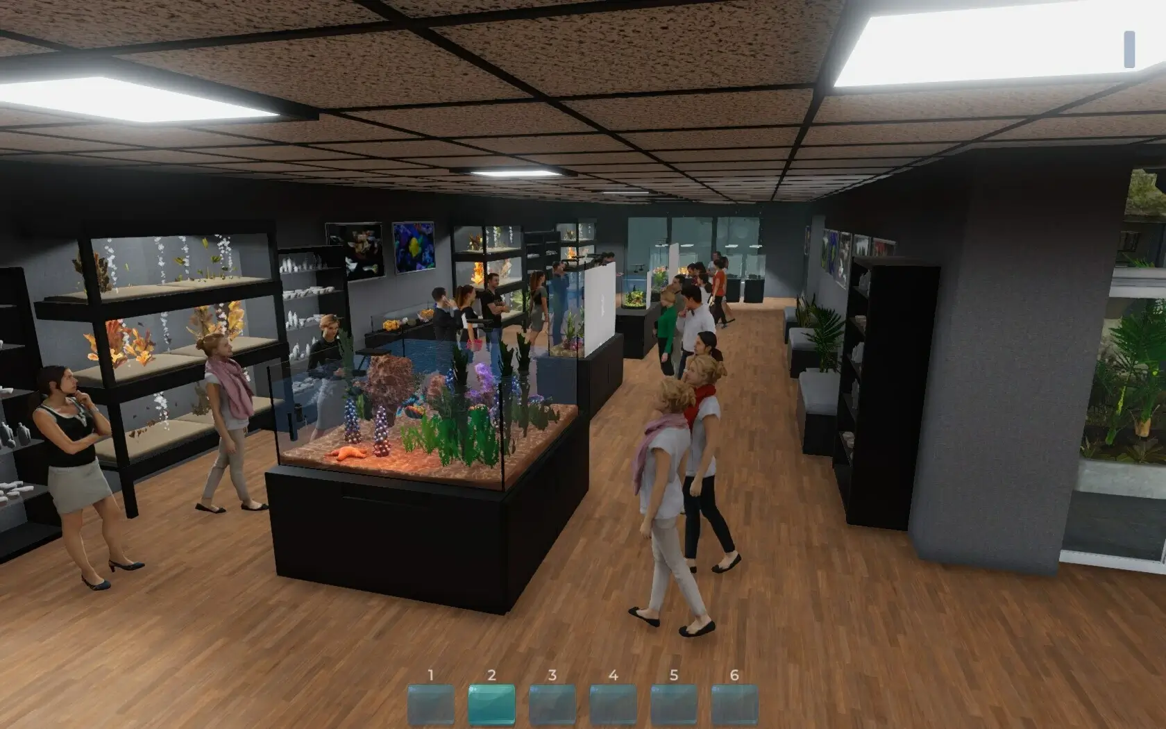Aquarist: Full Experience Bundle Gameplay Screenshots 3