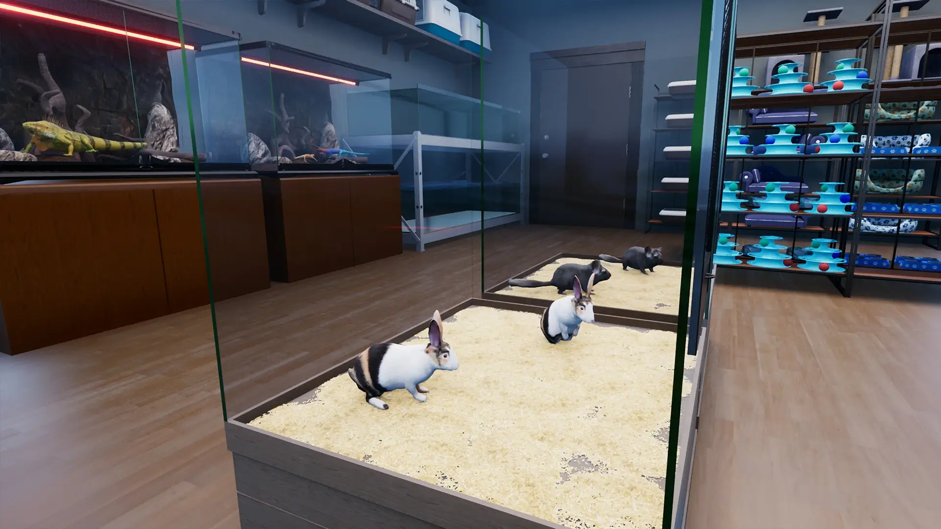 Exotica 2: Pet Shop Simulator Gameplay Screenshots 2