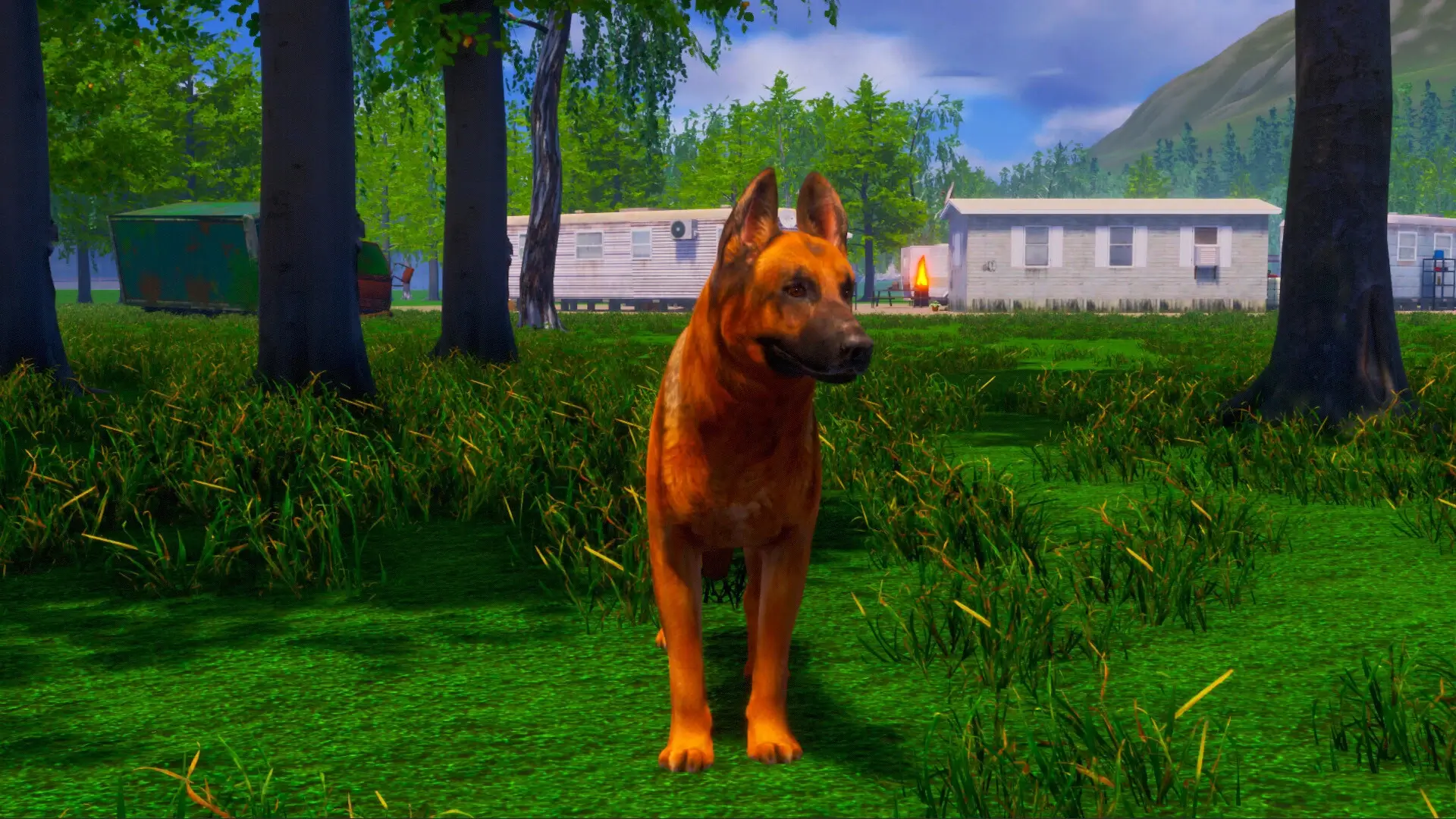 Lost Paws Gameplay Screenshots 1