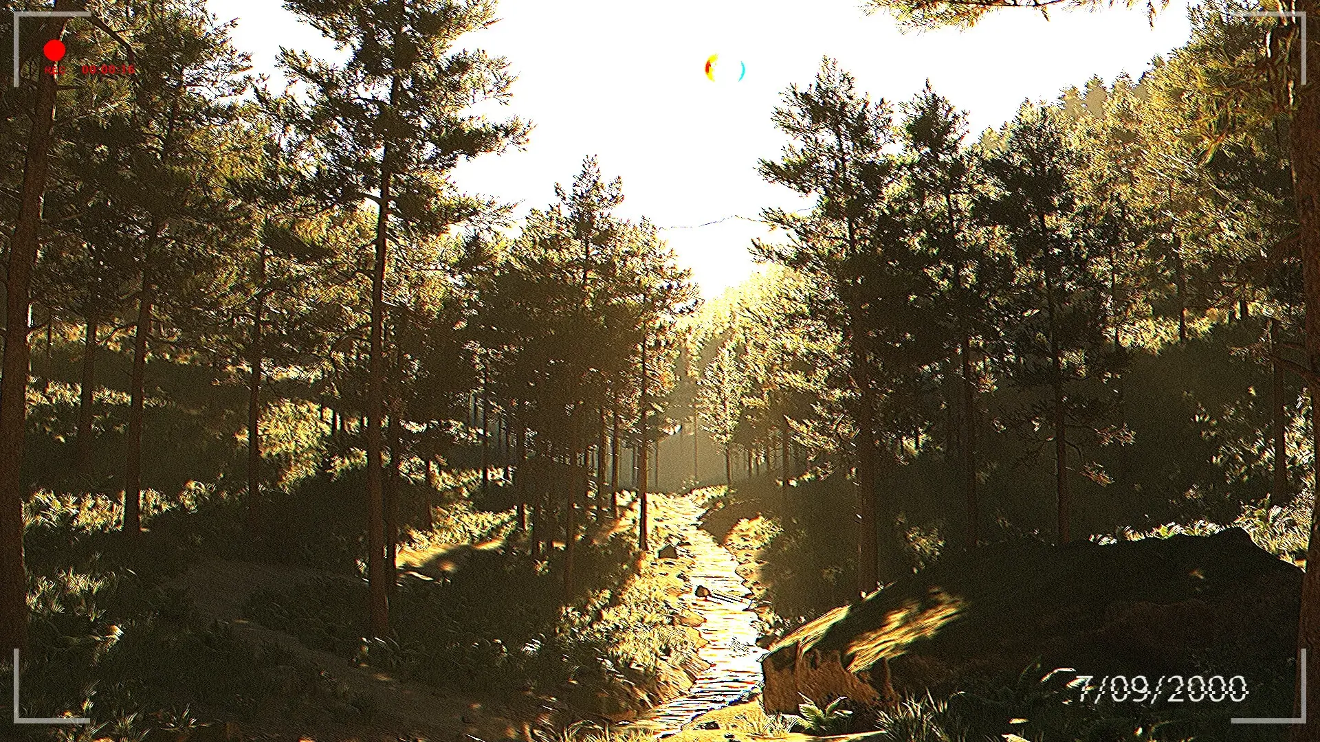 The Tall Man Tapes Gameplay Screenshots 4