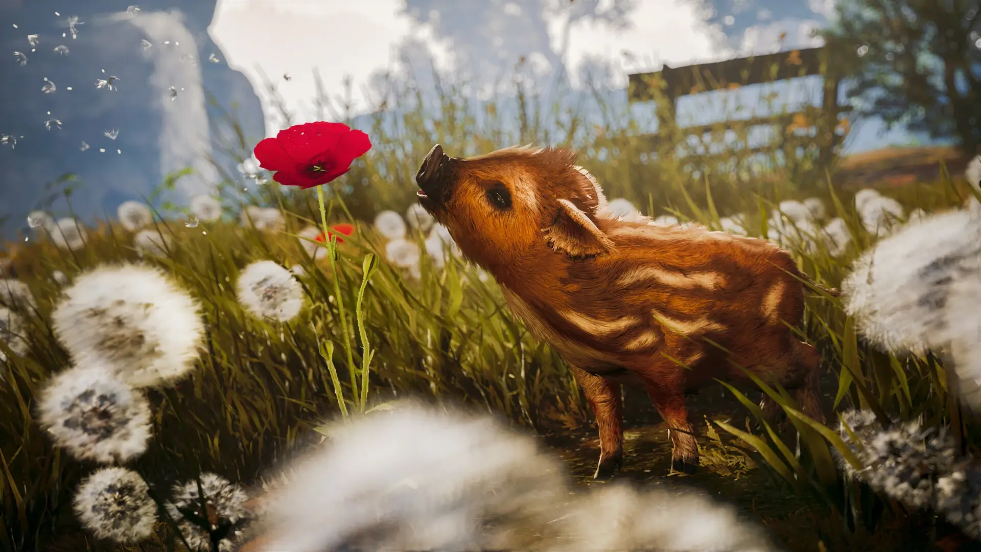 Adorable Adventures Gameplay Screenshots 1