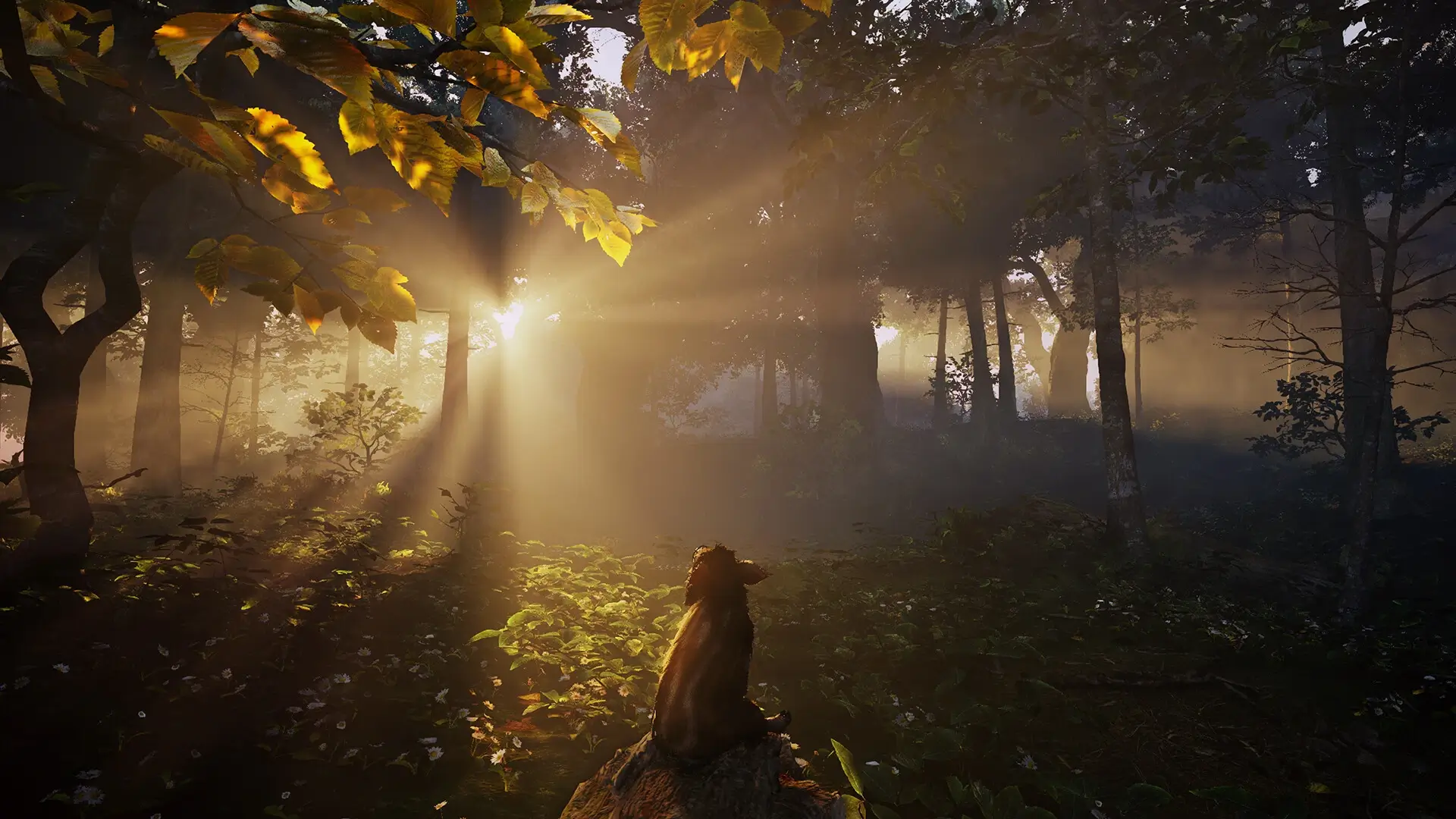 Adorable Adventures Gameplay Screenshots 2