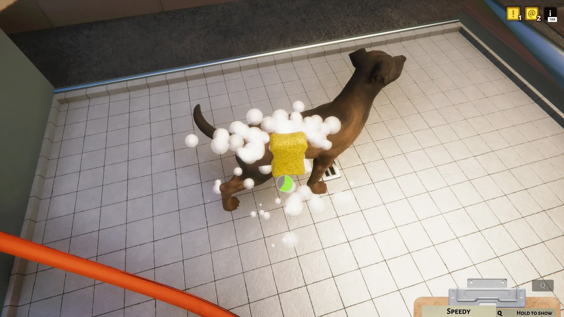 Animal Shelter: Family Bundle Gameplay Screenshots 2