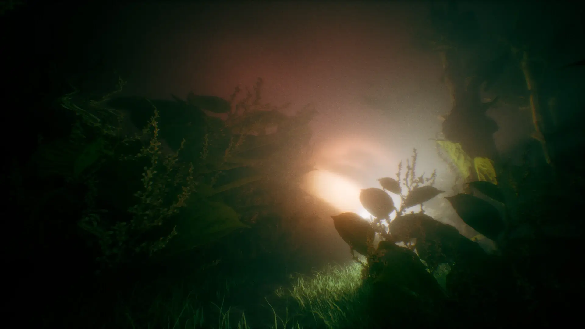 Benign Land Gameplay Screenshots 3