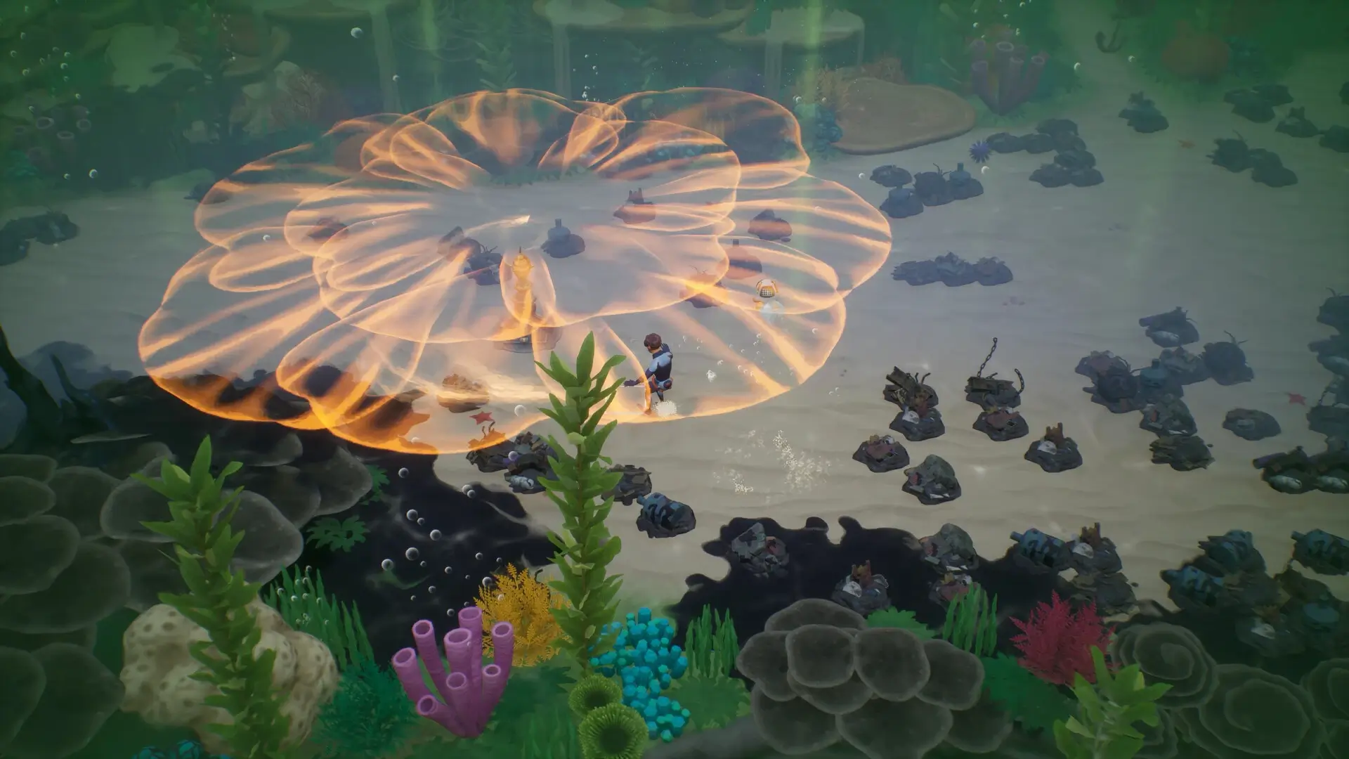 Coral Island: OST Bundle Gameplay Screenshots 2