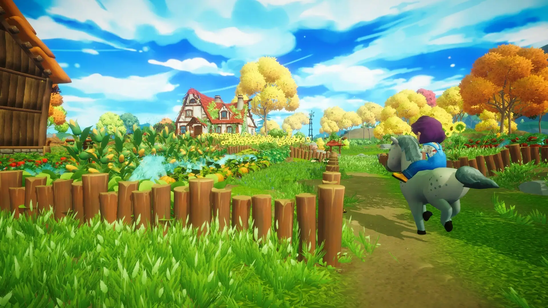 Everdream Valley: Deluxe Bundle Gameplay Screenshots 1