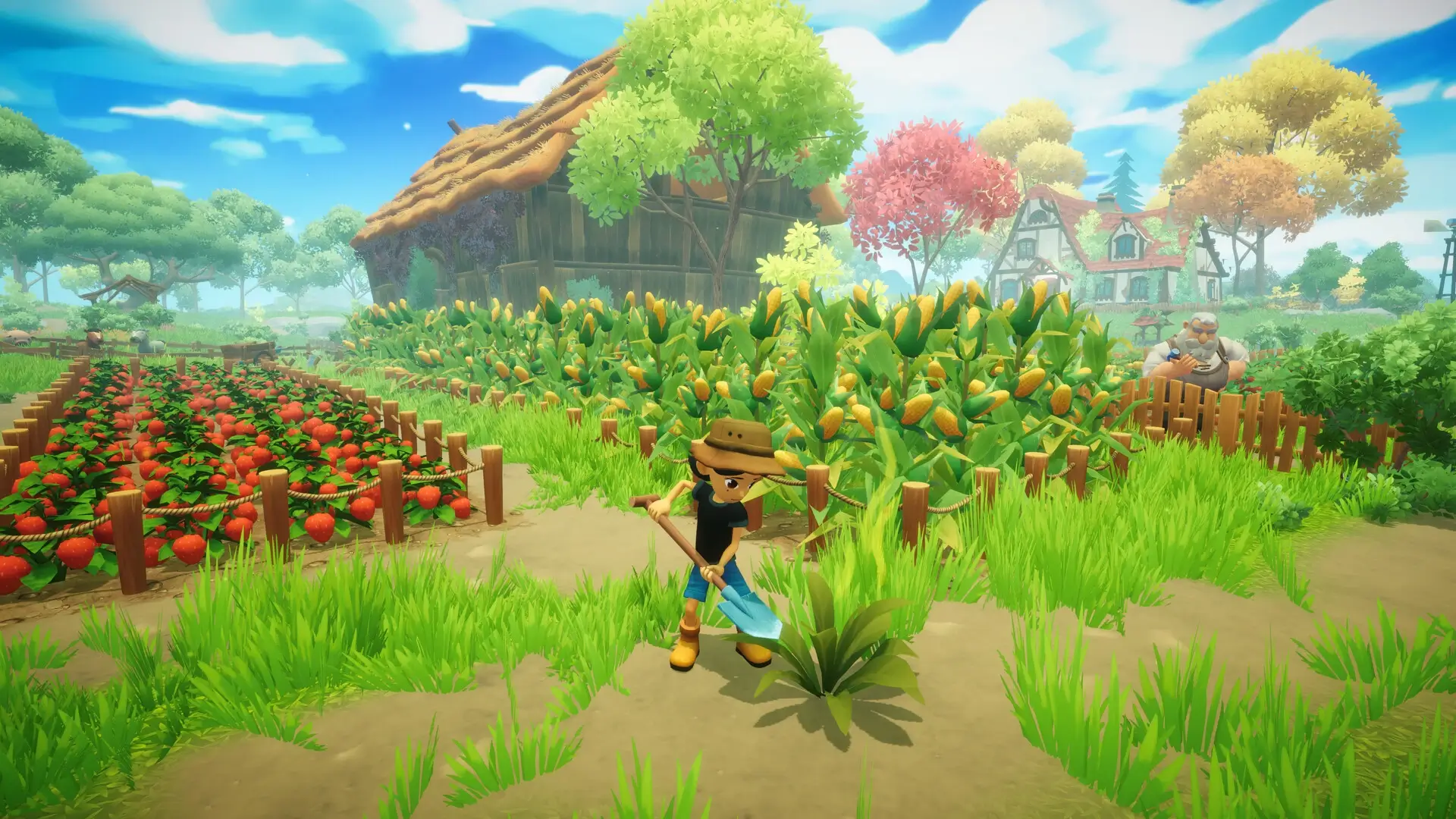 Everdream Valley: Deluxe Bundle Gameplay Screenshots 3
