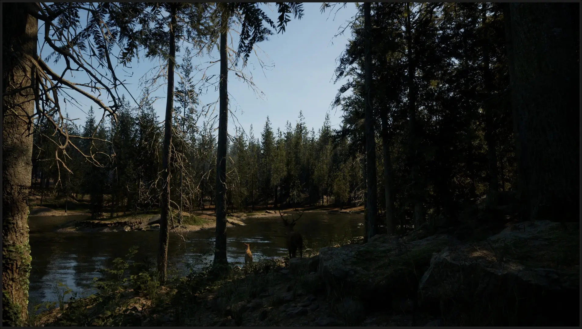 Evergreen: Mountain Life Simulator Gameplay Screenshots 1