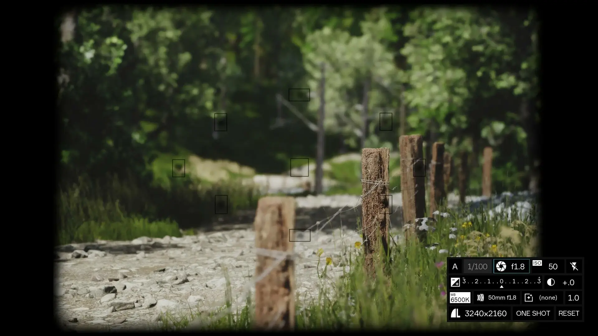 Lushfoil Photography Sim Gameplay Screenshots 4