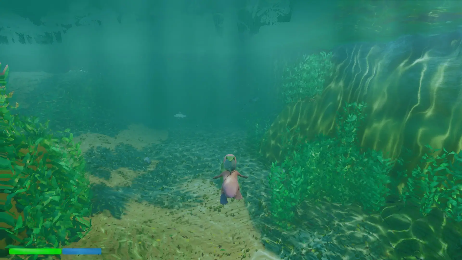 Platypus Adventures Gameplay Screenshots 1