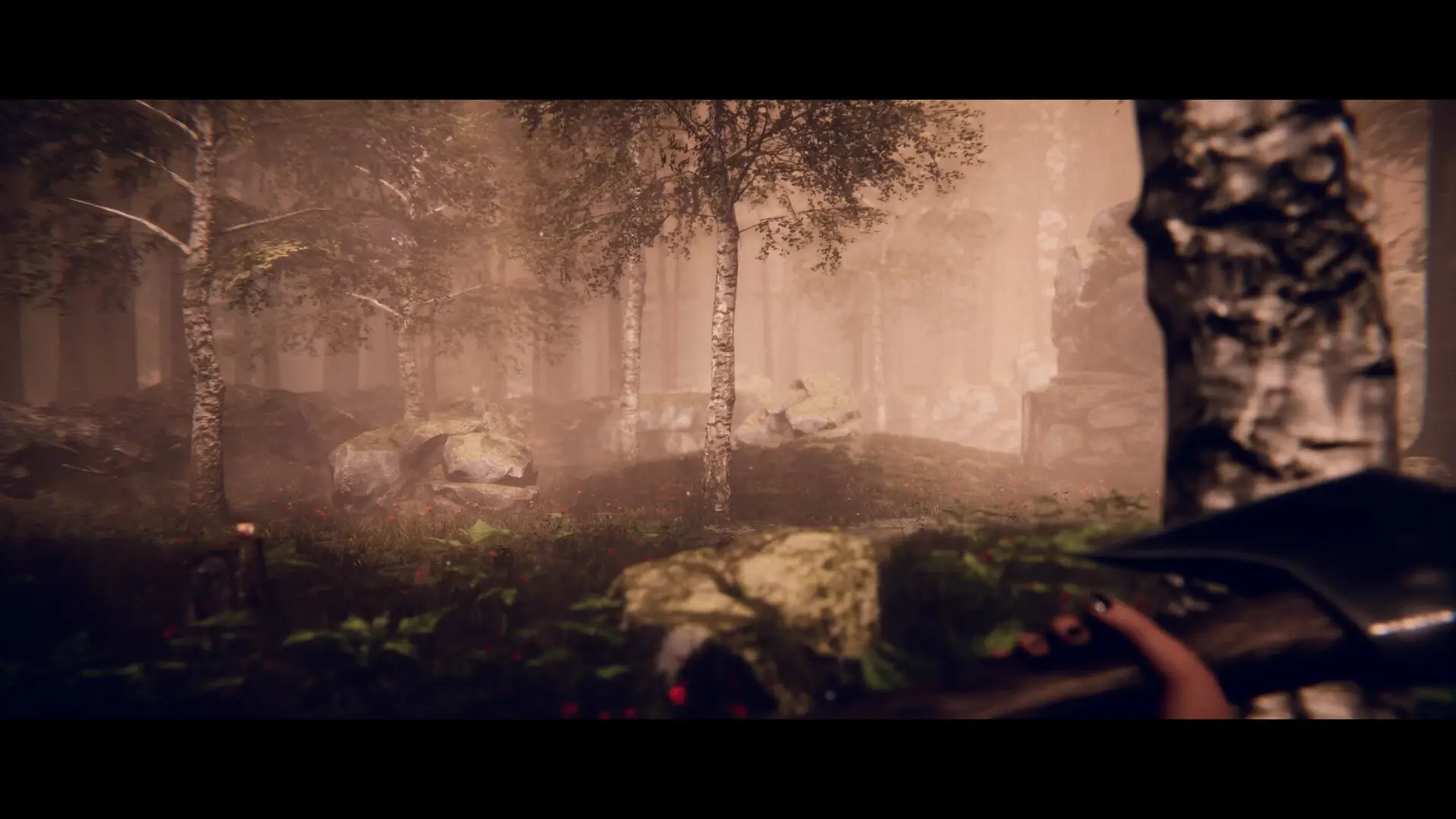 Project Songbird Gameplay Screenshots 3