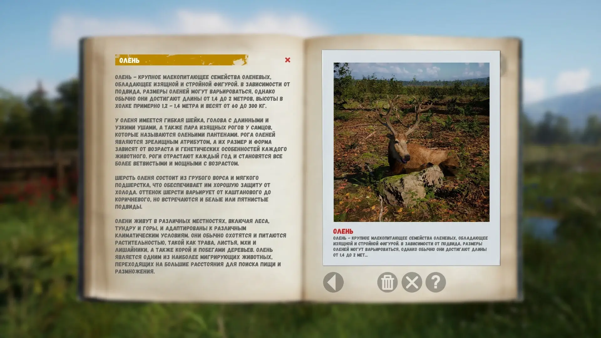 Russian Soul Simulator Gameplay Screenshots 3