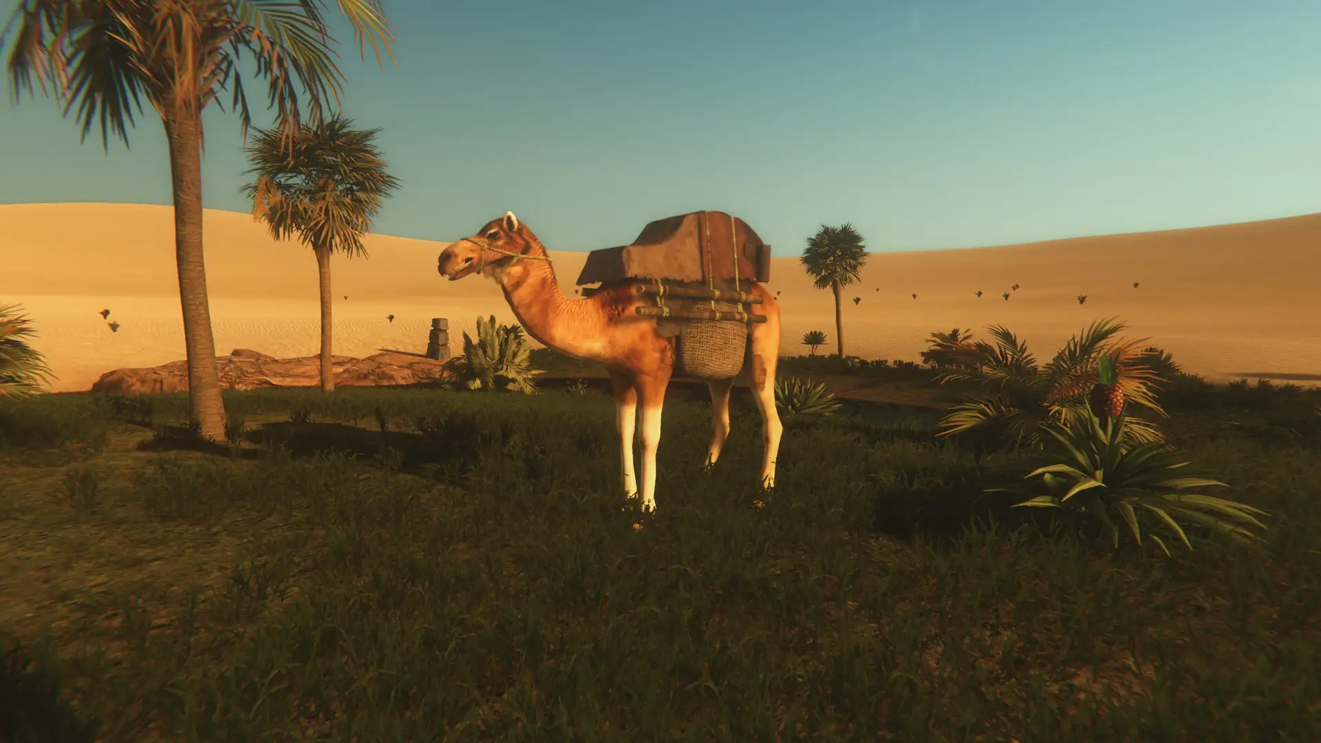 Starsand: Digital Supporter Edition Gameplay Screenshots 3