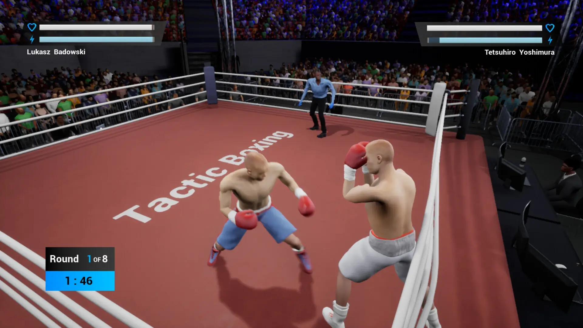 Tactic Boxing Gameplay Screenshots 2