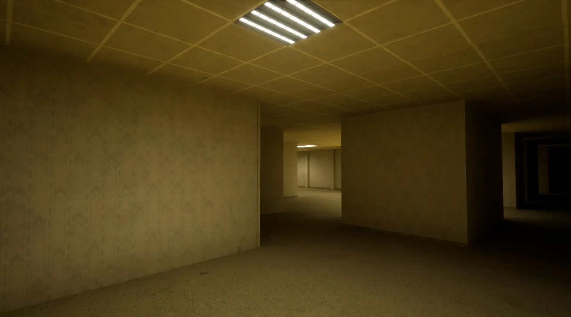 The Backrooms Deluxe Gameplay Screenshots 4