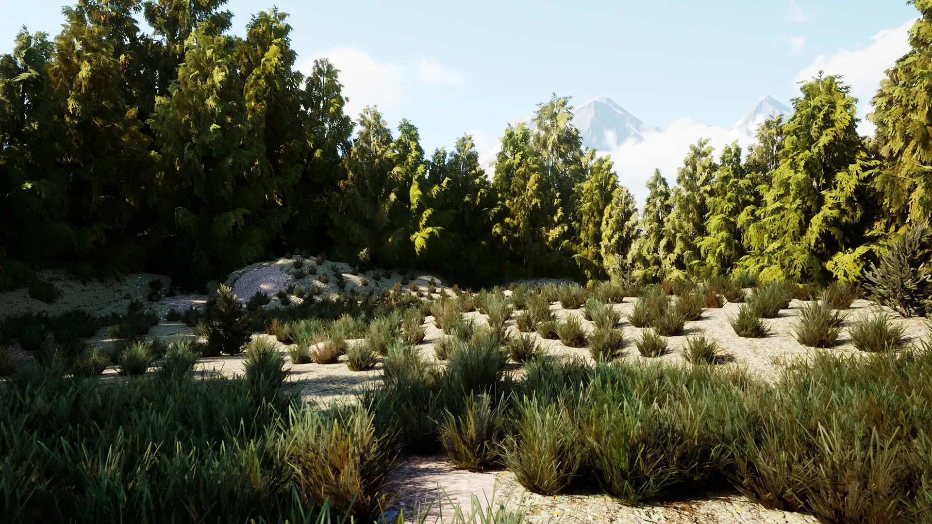 The Cadet Files: Scene Unseen Gameplay Screenshots 4