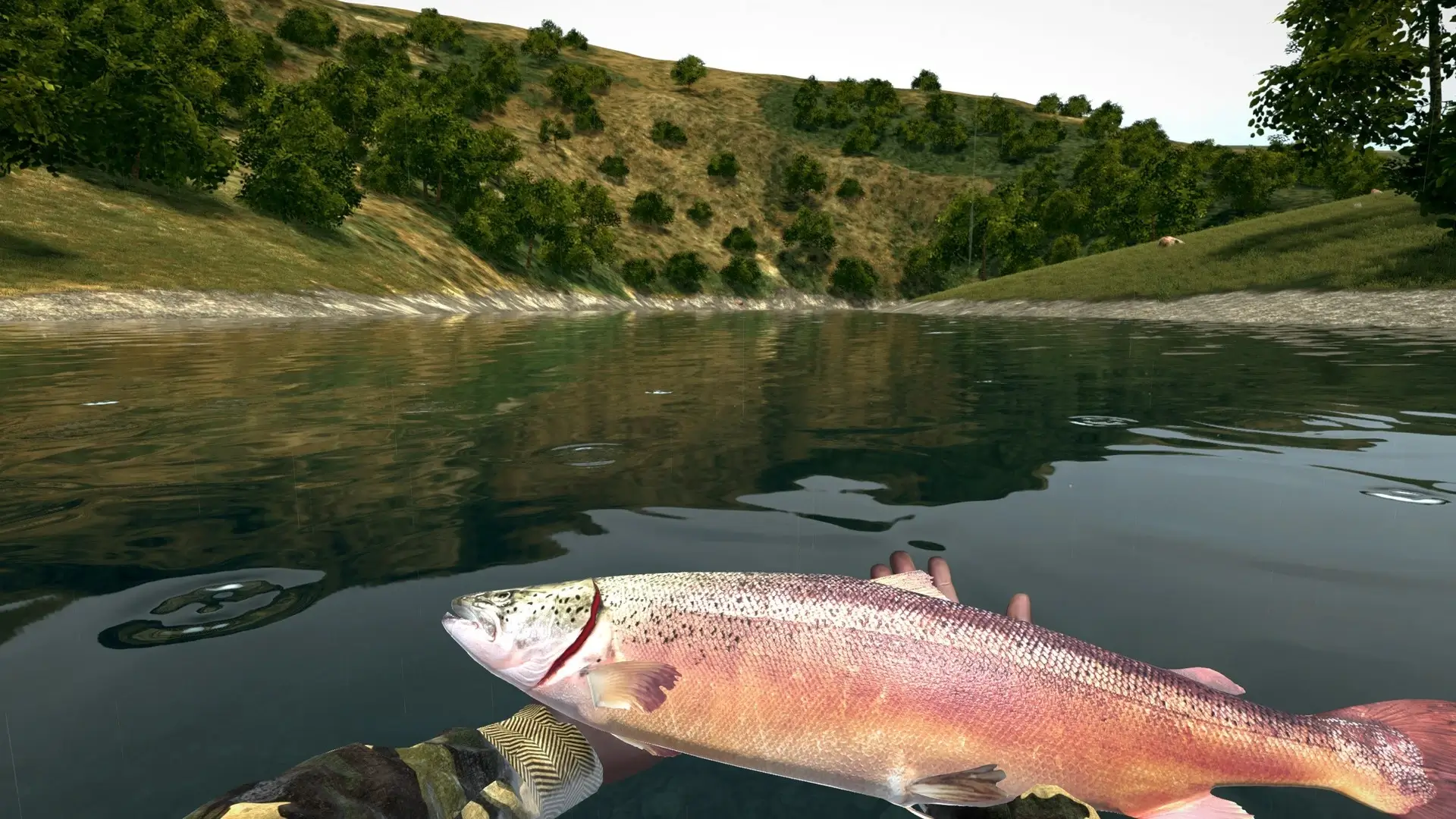 Ultimate Fishing Simulator: Gold Edition Gameplay Screenshots 1