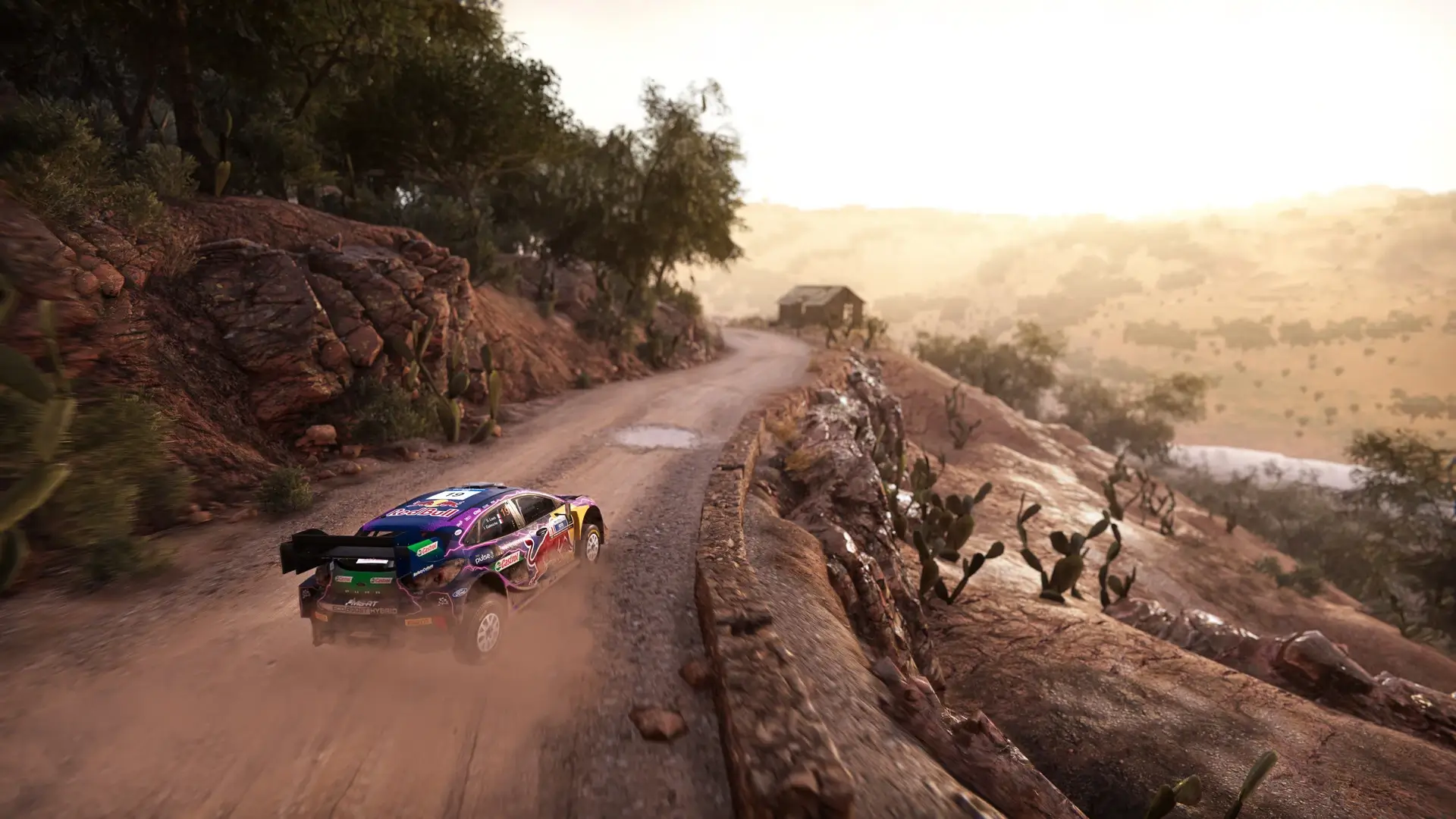 WRC Generations: Deluxe Edition Gameplay Screenshots 1
