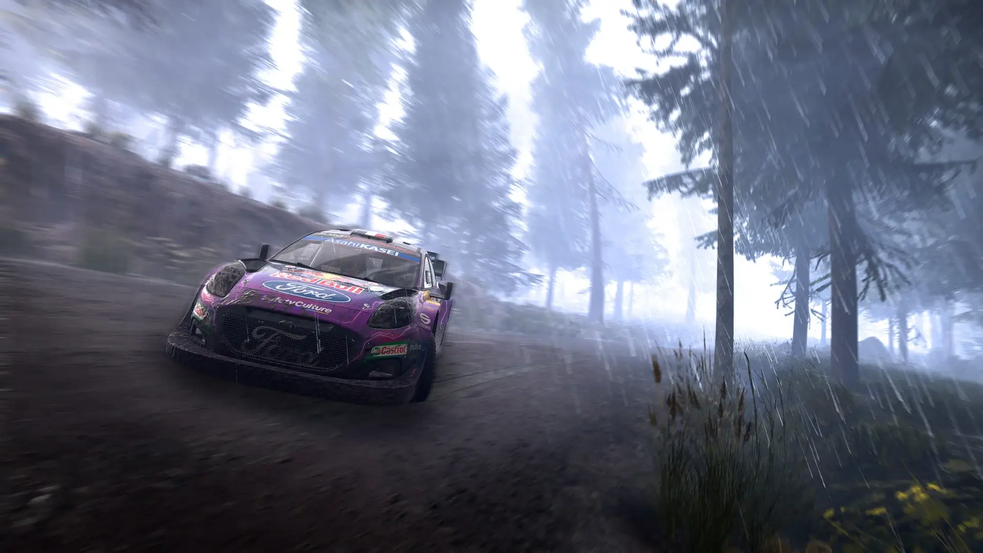 WRC Generations: Deluxe Edition Gameplay Screenshots 2