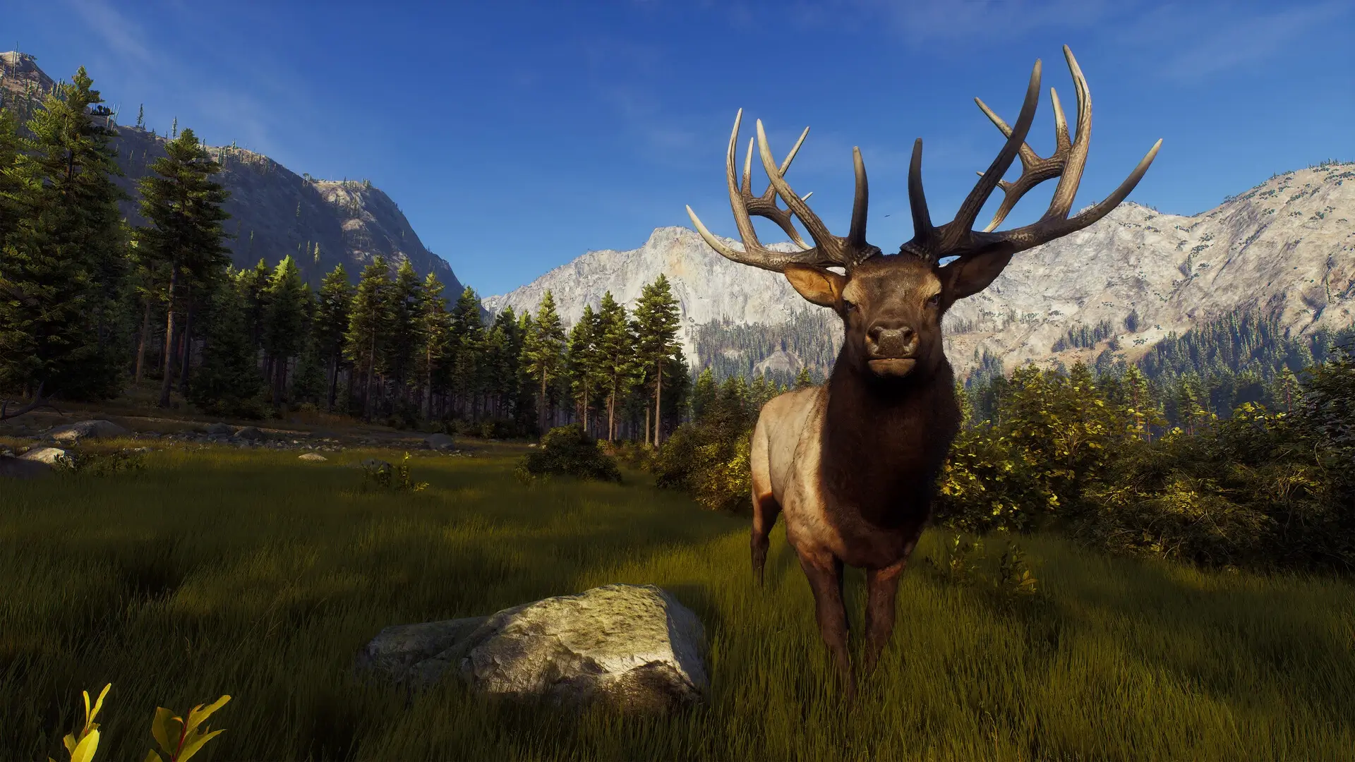 Way of the Hunter: Ultimate Edition Gameplay Screenshots 1