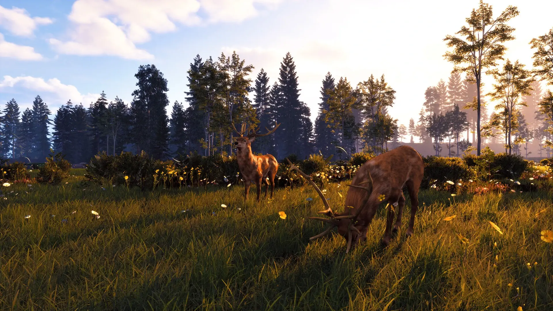 Windstorm: Start of a Great Friendship – Remastered: Complete Edition Gameplay Screenshots 3