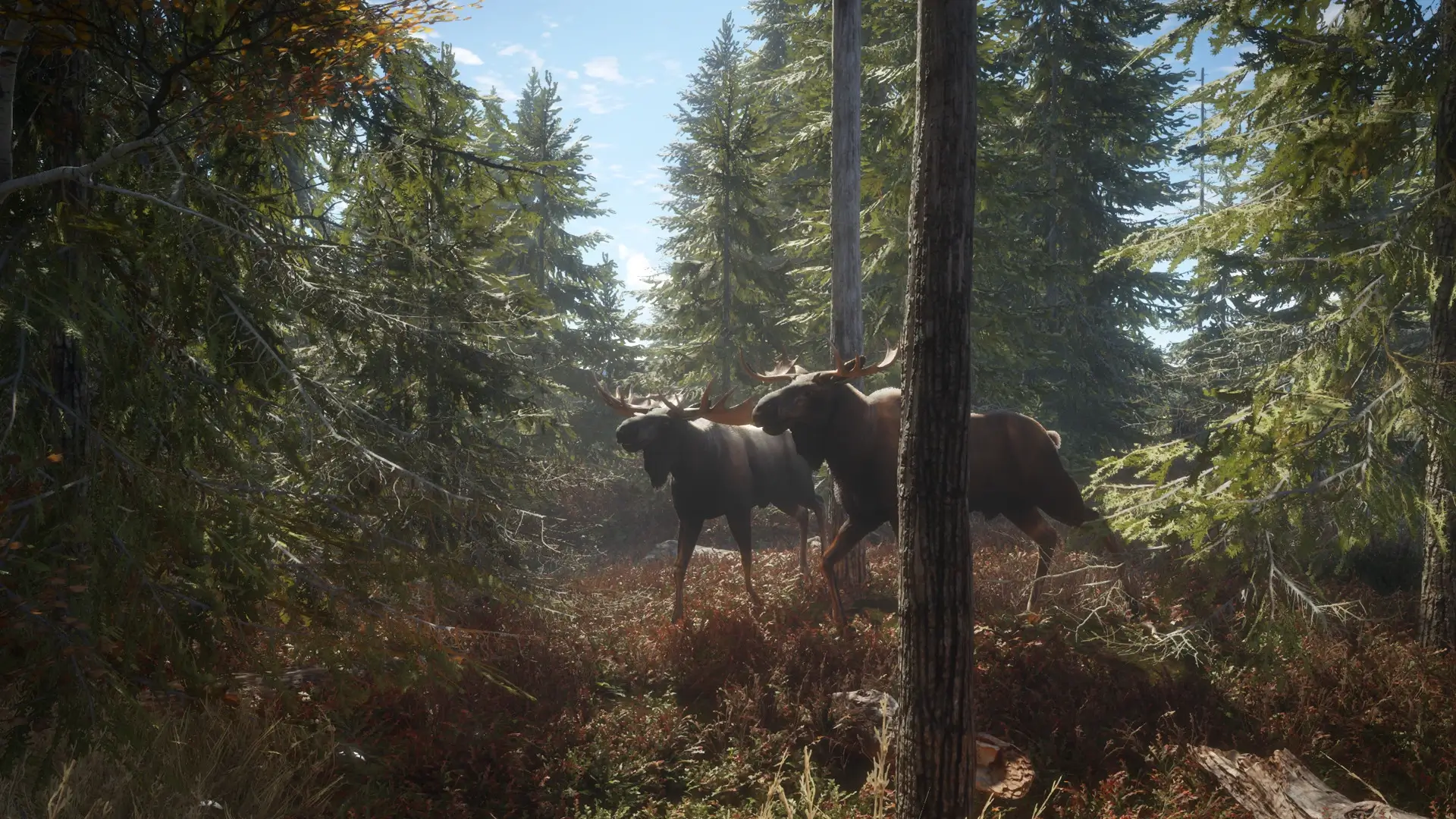 theHunter: Call of the Wild – Complete Collection Gameplay Screenshots 1
