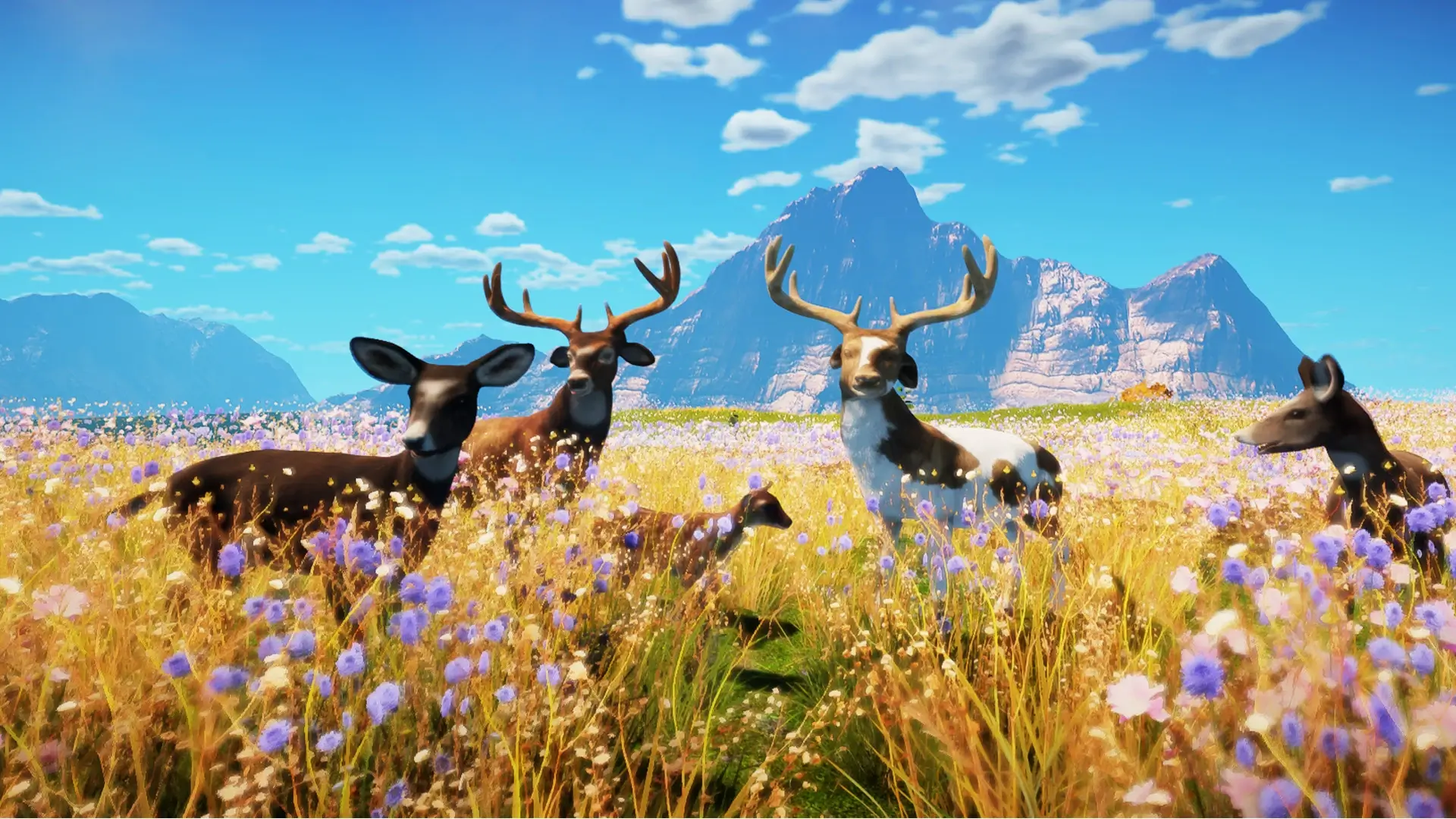 Animallica Gameplay Screenshots 3
