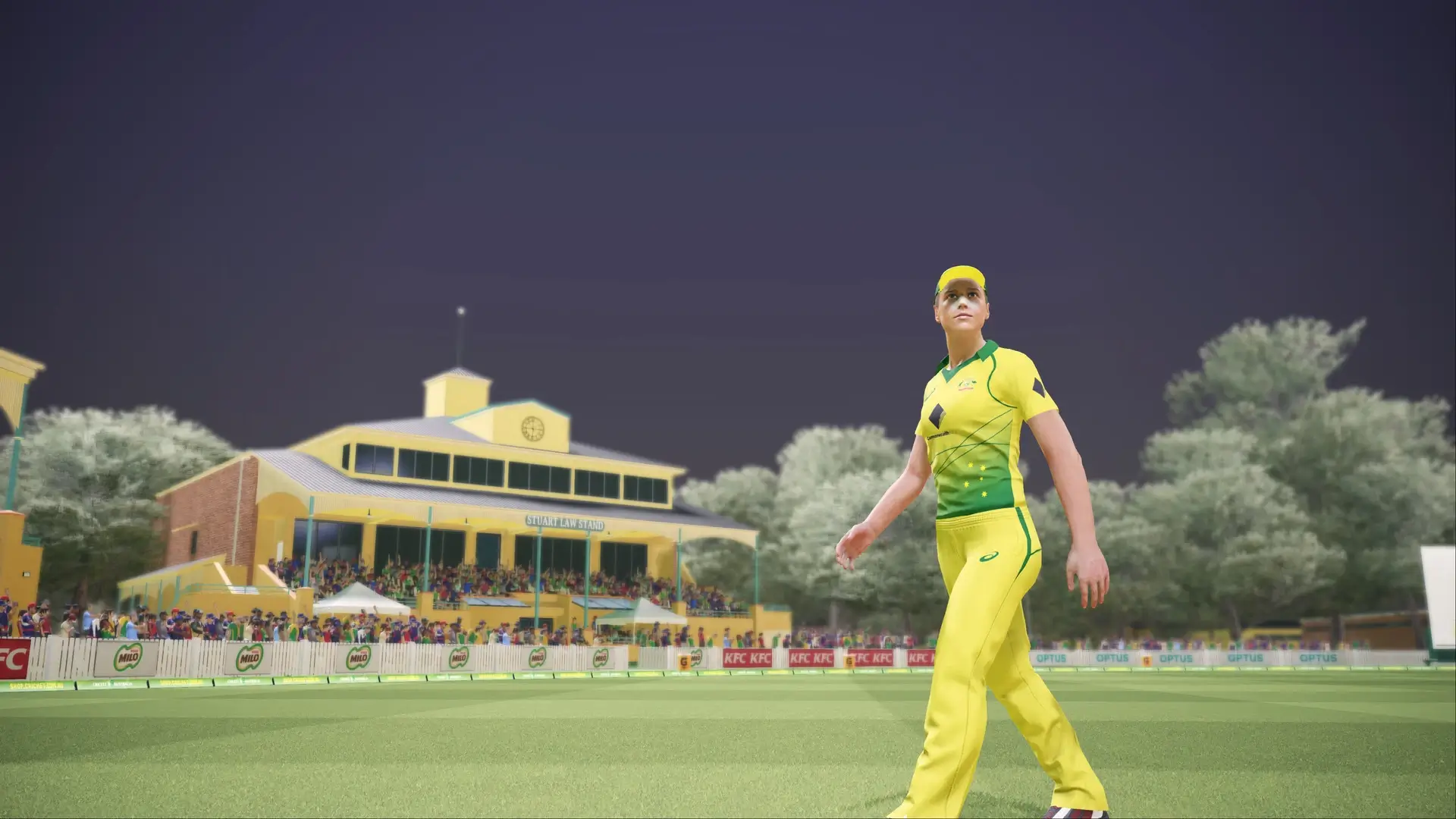 Ashes Cricket Gameplay Screenshots 3