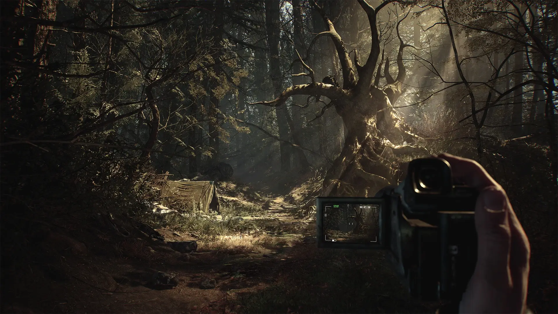 Blair Witch: Deluxe Edition Gameplay Screenshots 1