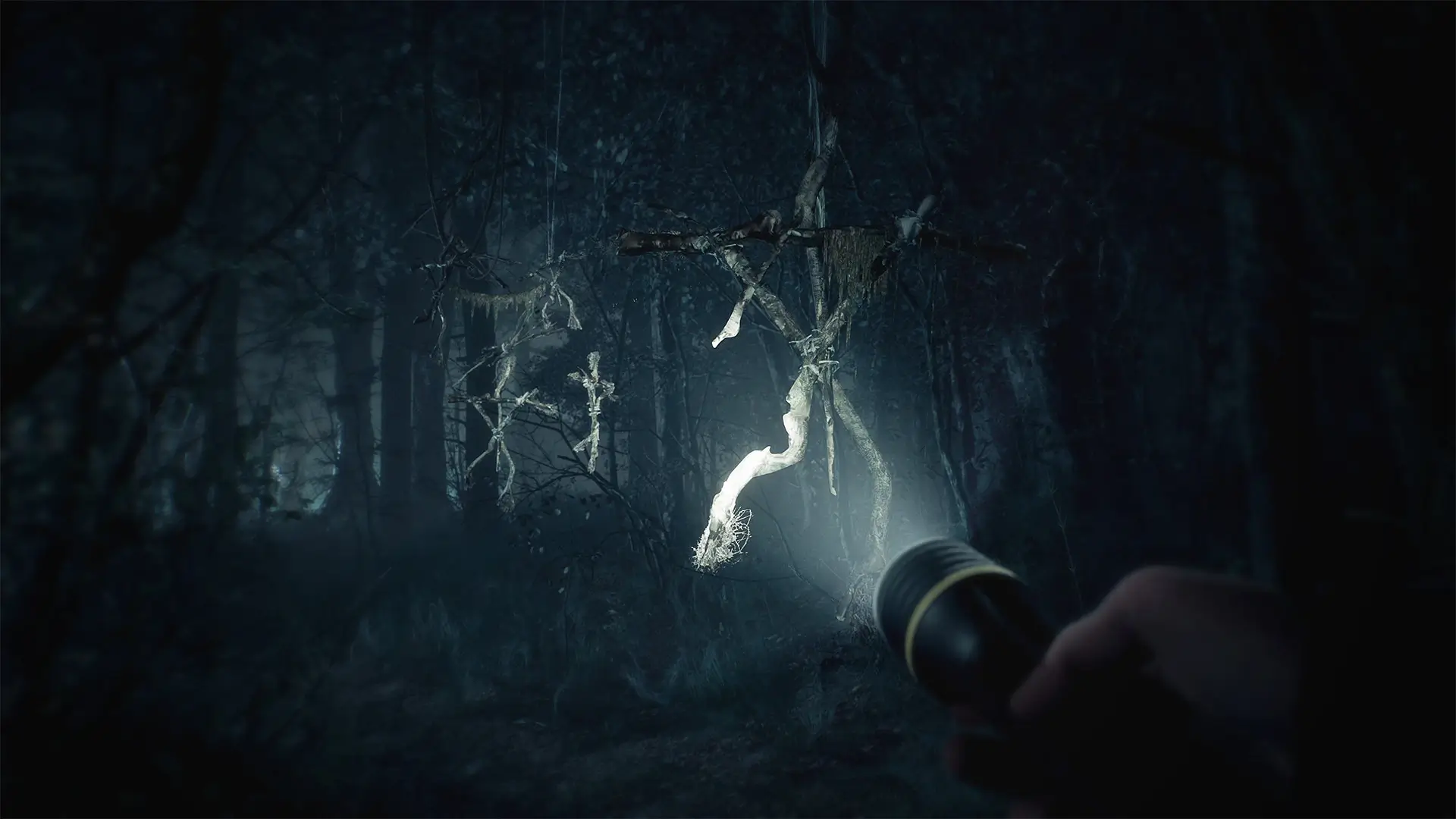 Blair Witch: Deluxe Edition Gameplay Screenshots 3