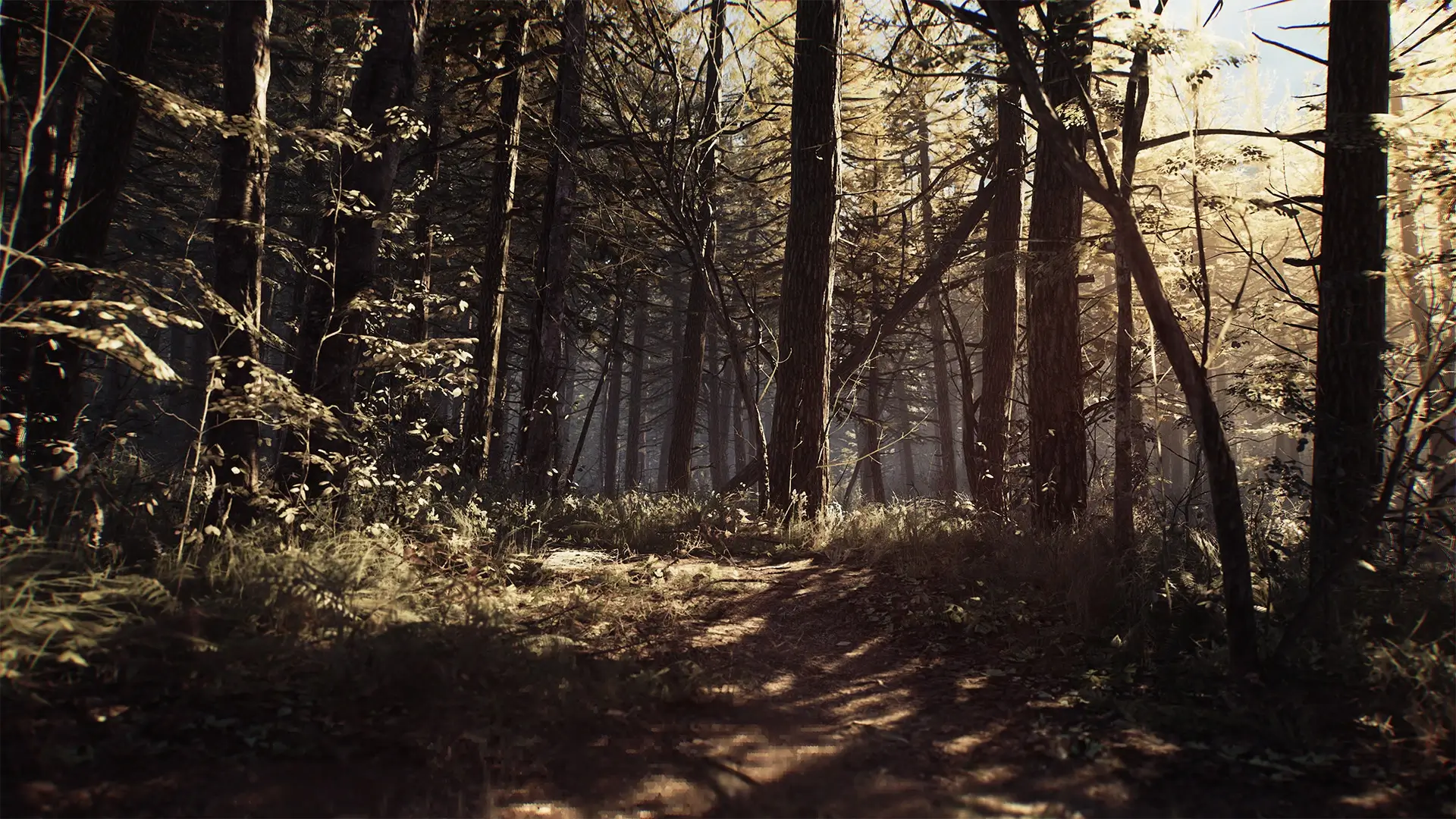 Blair Witch: Deluxe Edition Gameplay Screenshots 4