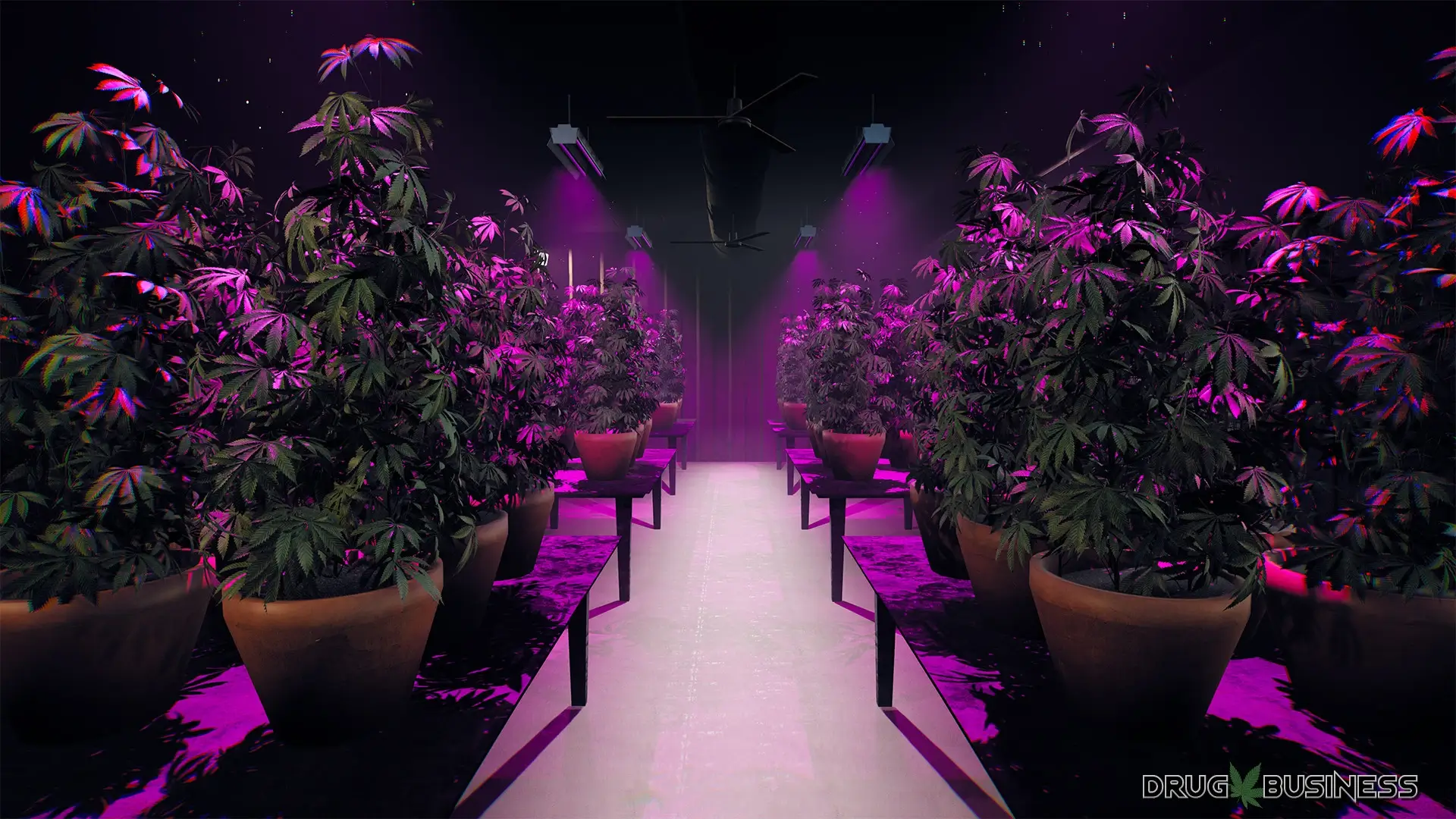Drug Business Gameplay Screenshots 1