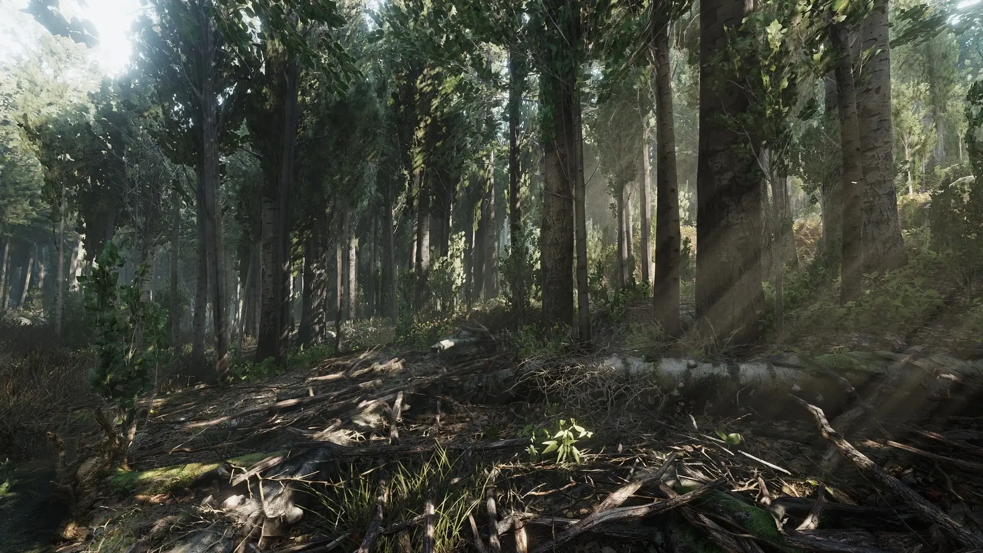 Heat Gameplay Screenshots 4