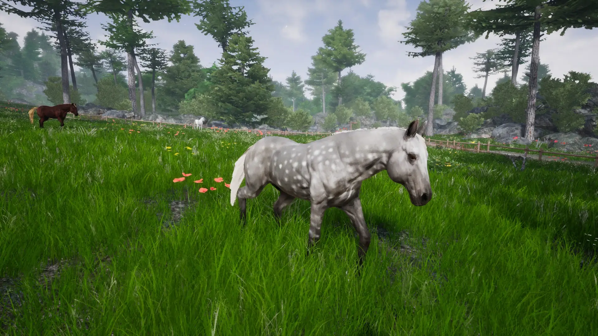 Horse Riding Deluxe 2 Gameplay Screenshots 3