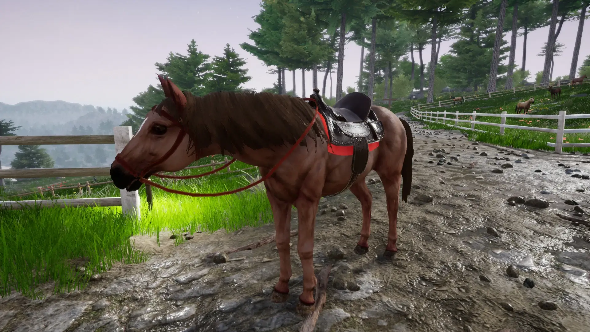 Horse Riding Deluxe 2 Gameplay Screenshots 4