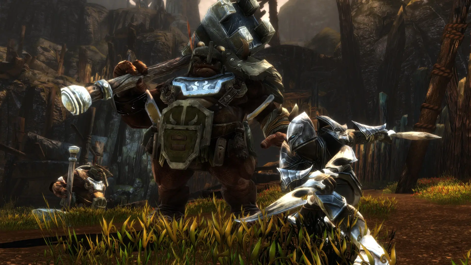 Kingdoms of Amalur: Re-Reckoning – FATE Edition Gameplay Screenshots 2