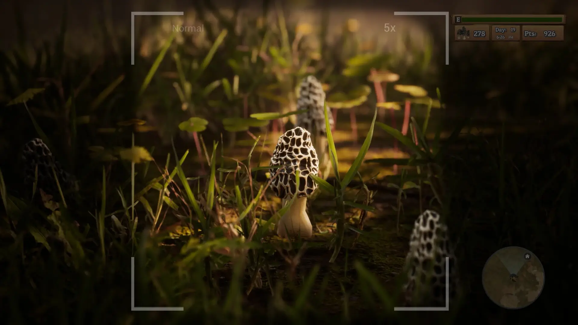Morels: The Hunt Gameplay Screenshots 1