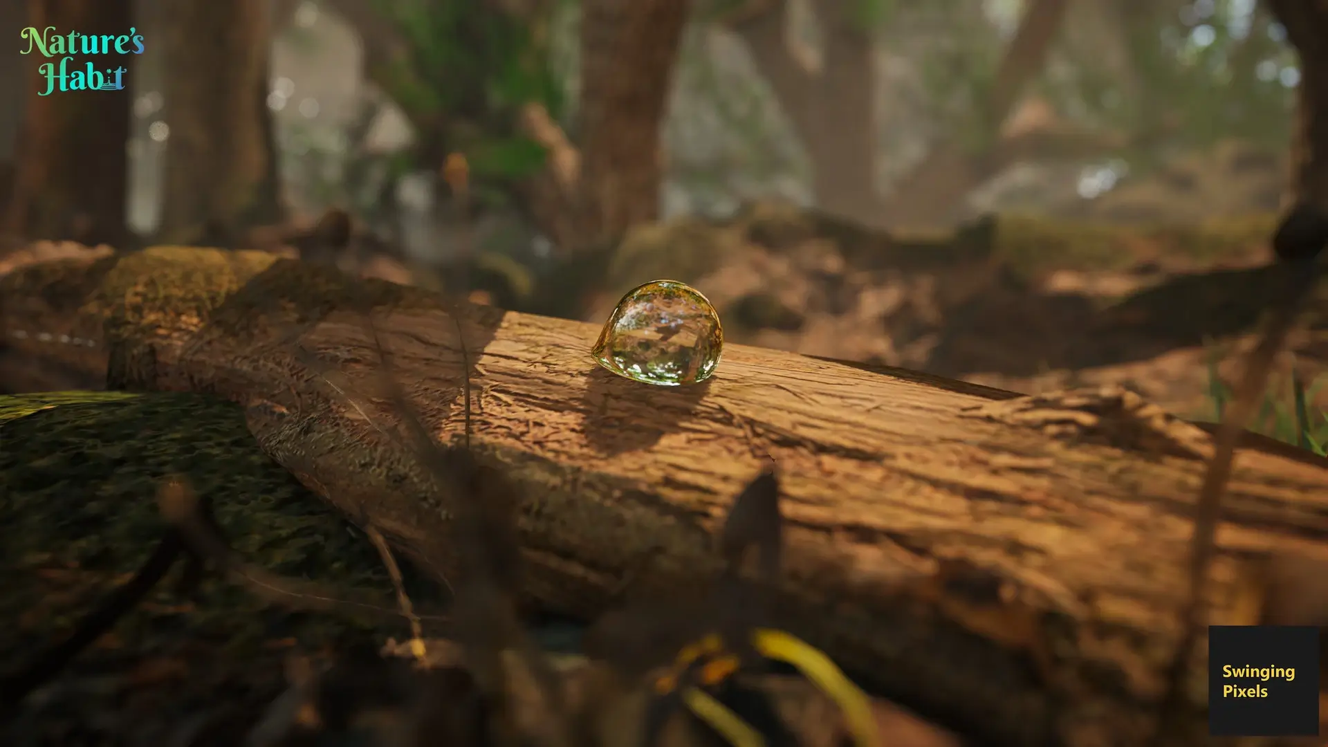 Nature’s Habit Gameplay Screenshots 2