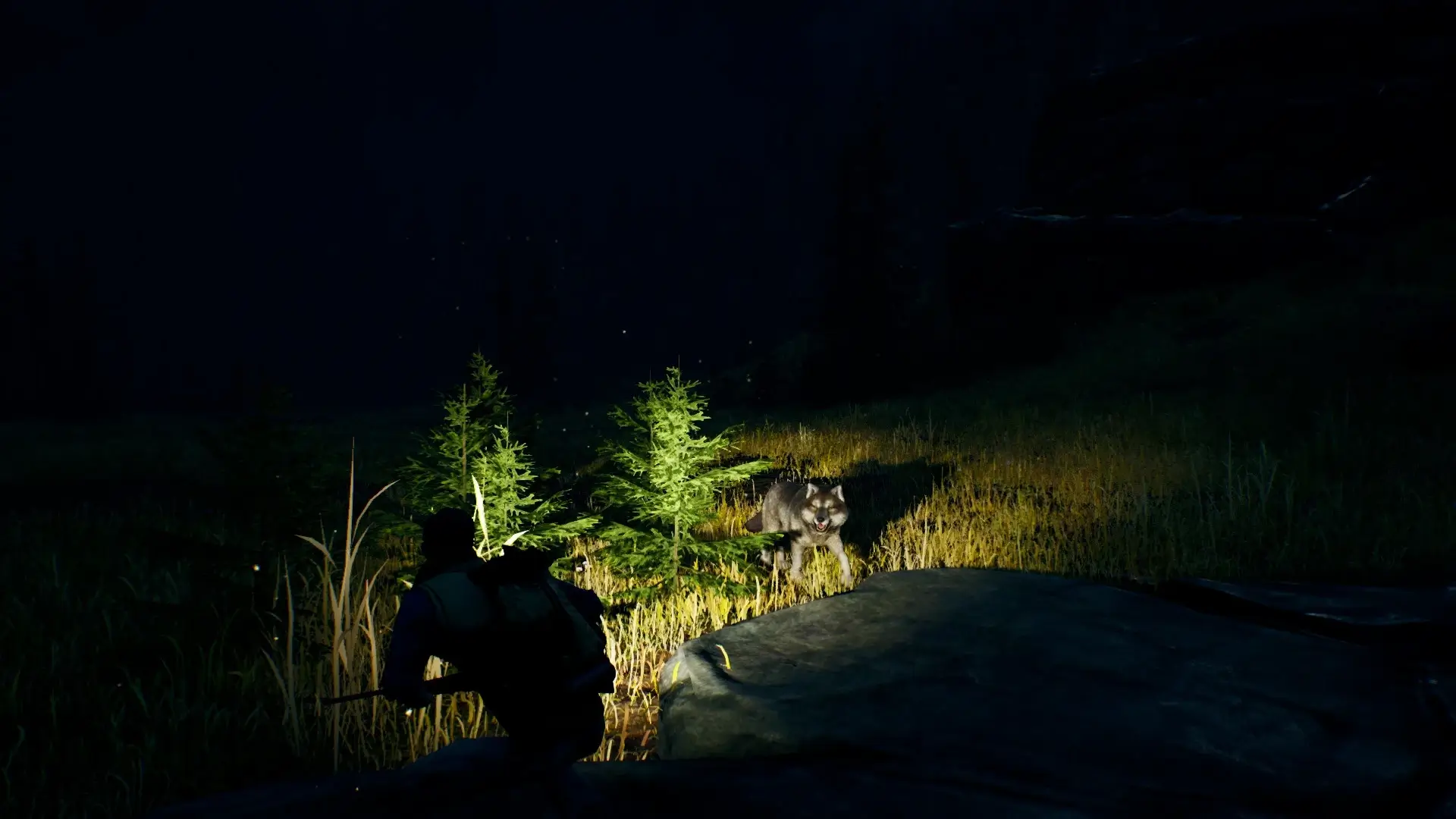Open Country Gameplay Screenshots 3