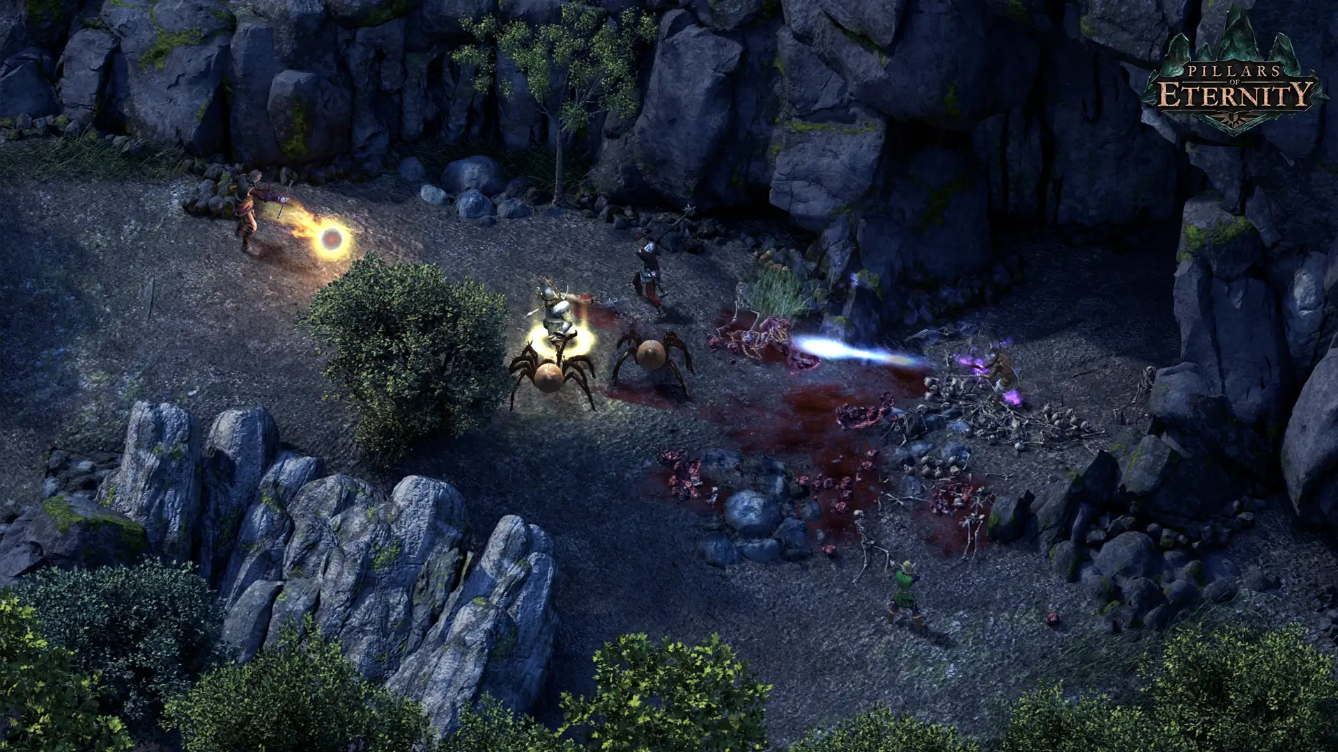 Pillars of Eternity: Definitive Edition Gameplay Screenshots 4