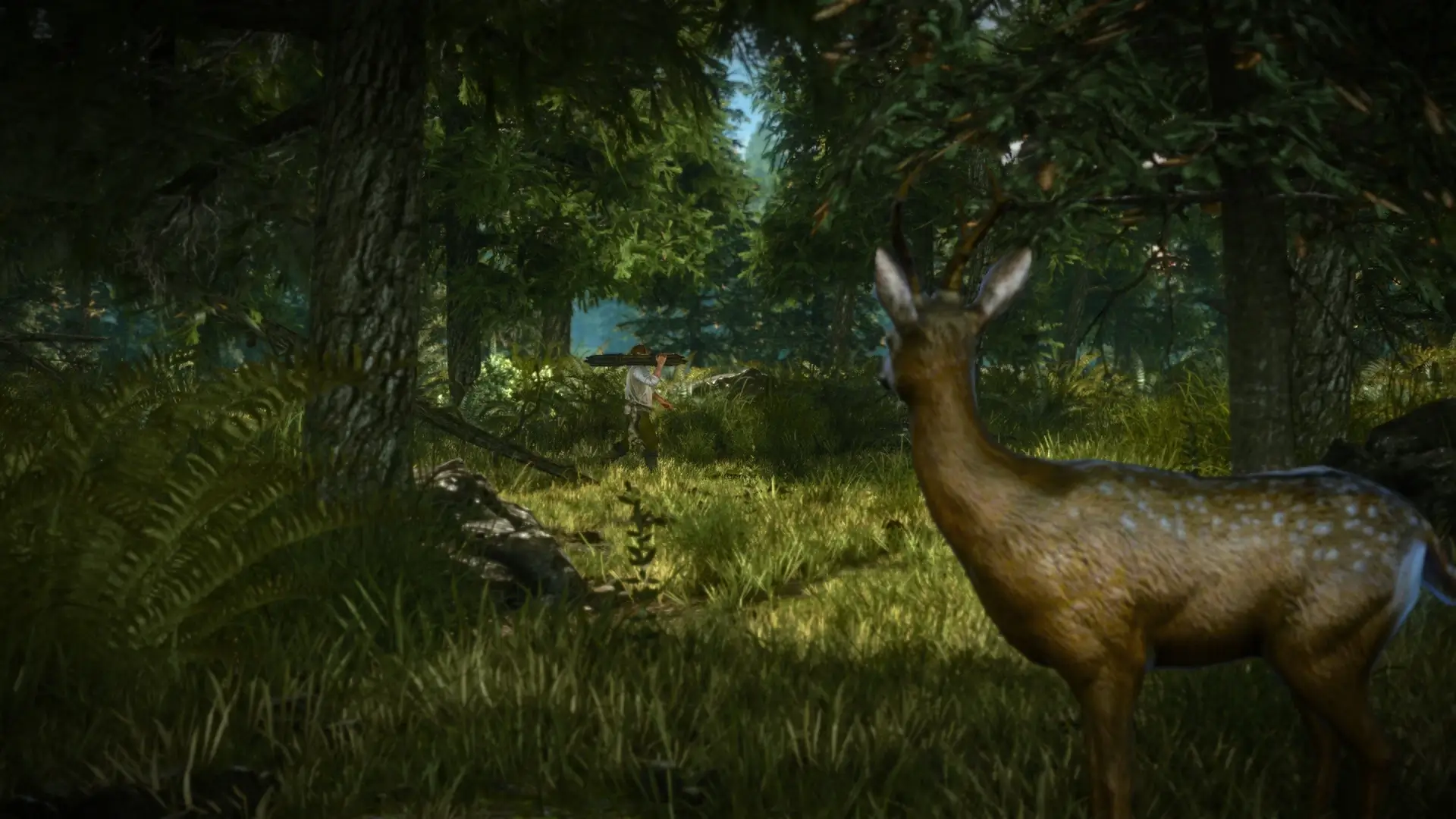 The Witcher 2: Assassins of Kings – Enhanced Edition Gameplay Screenshots 2