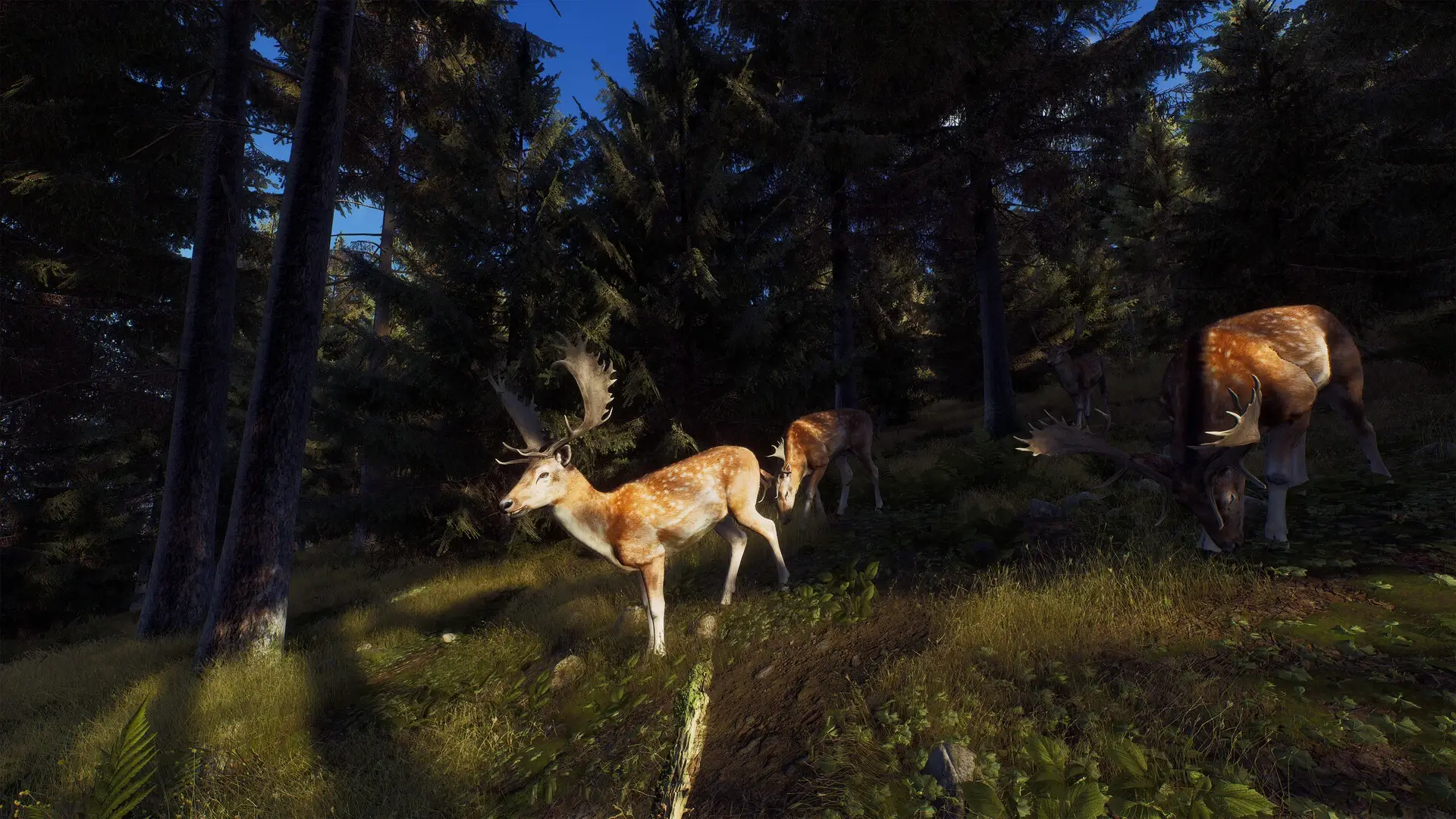 Way of the Hunter: Elite Edition Gameplay Screenshots 2